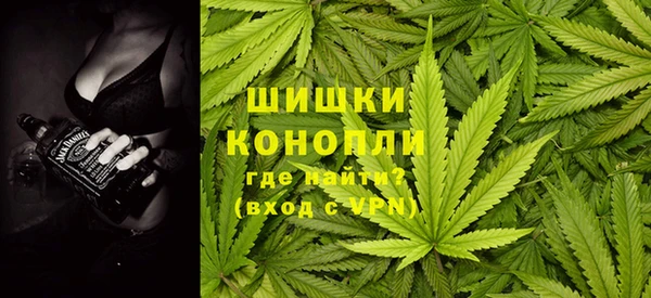 прущая мука Алзамай