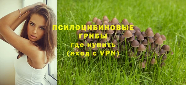 прущая мука Алзамай