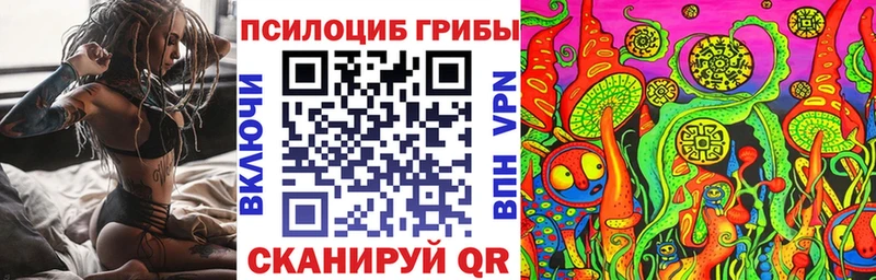 ОМГ ОМГ ТОР  Новозыбков  Псилоцибиновые грибы Magic Shrooms 